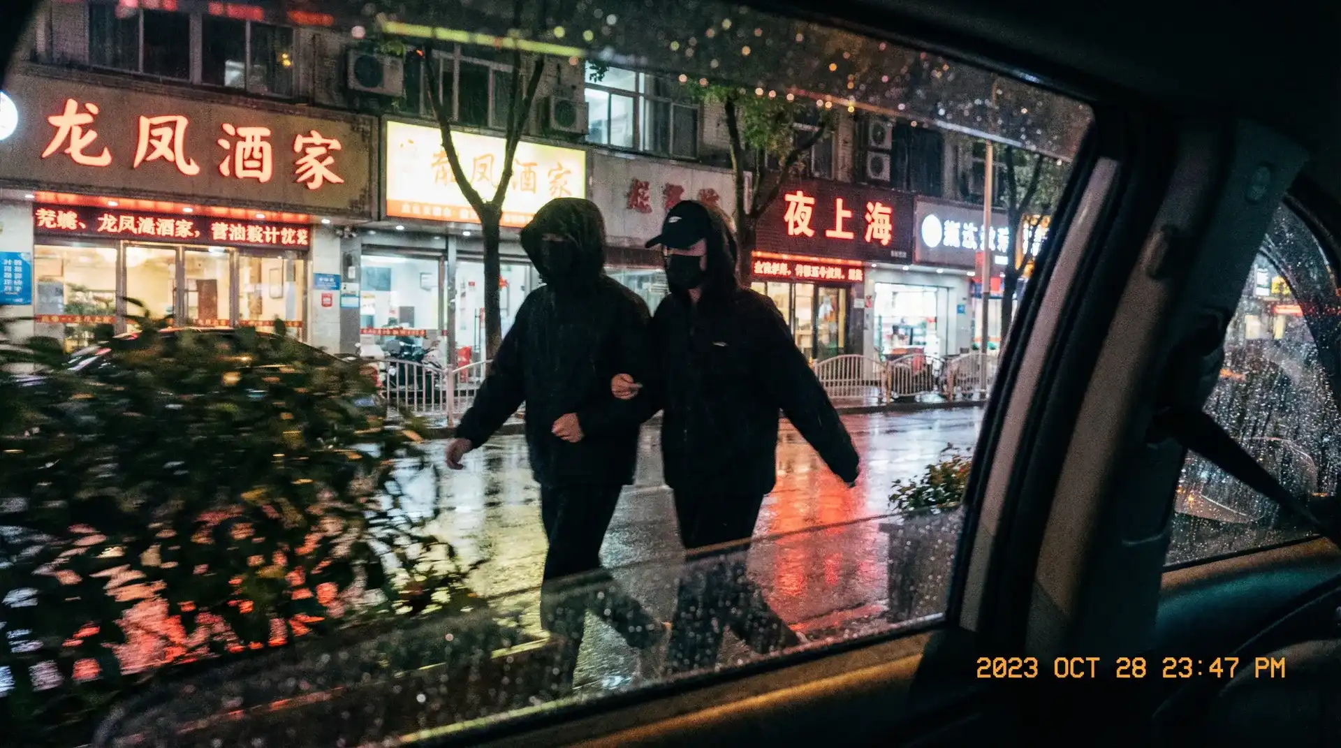 狼群视频在线观看播放 - 顶流明星深夜密会现场抓拍照片